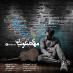 Mehdi Nekoueiyan – Hichkas Shabihe To Nist