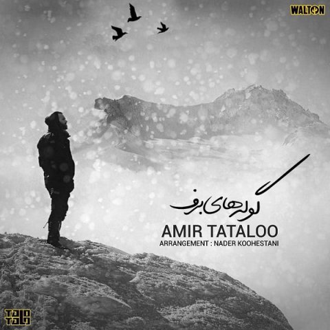 Amir Tataloo – Goolehaye Barf