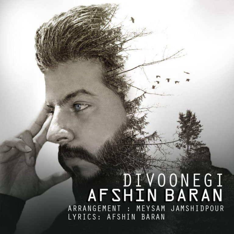 Afshin Baran – Divoonegi