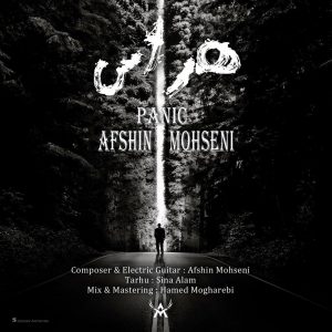 Afshin Mohseni 
