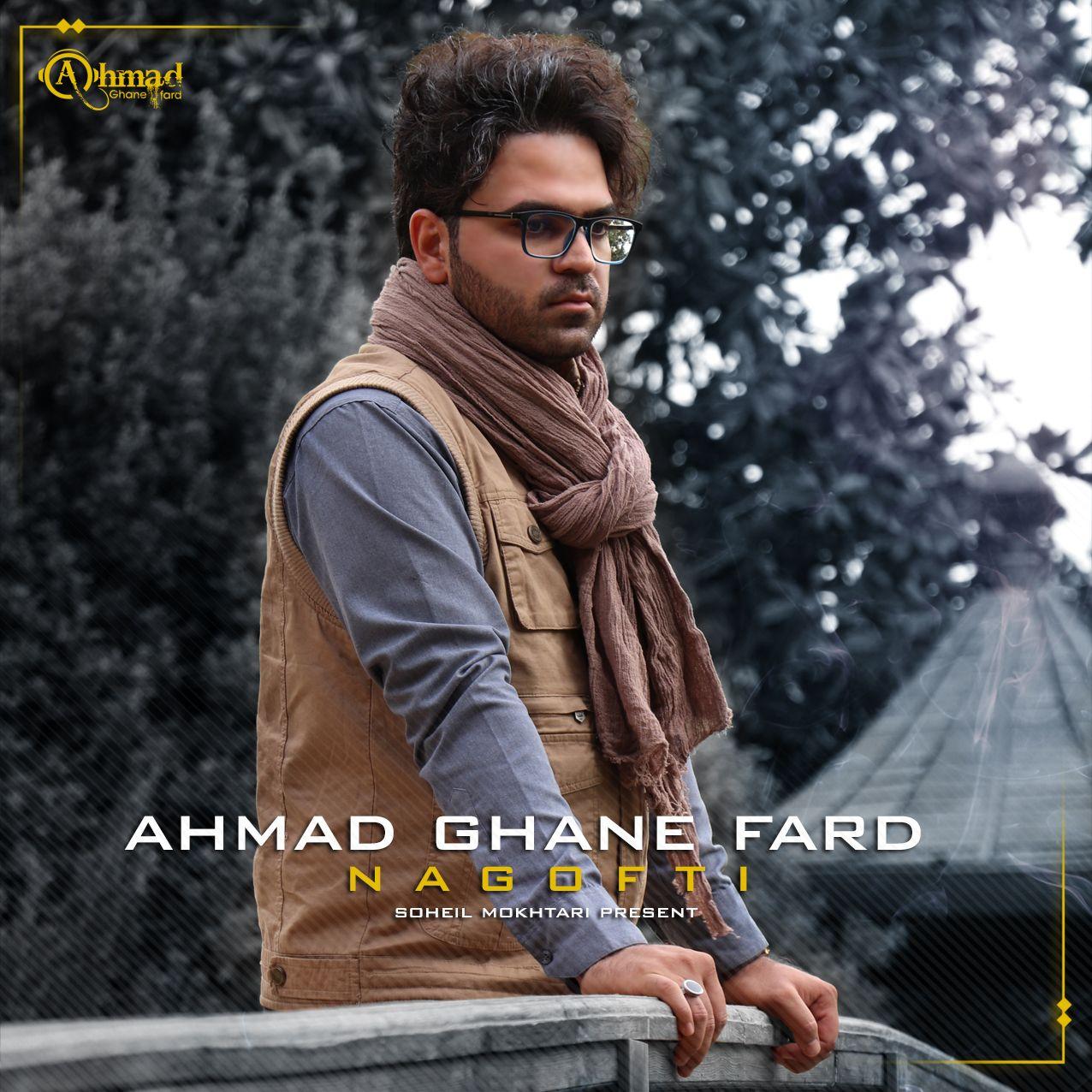 Ahmad Ghanefard – Nagofti