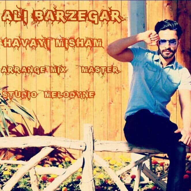 Ali Barzegar – Havayi Misham