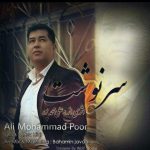 Ali Mohammadpoor – Sarnevesht - 