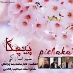 Alireza Zaki – Pichka