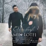 Amin Lotfi – Adam Barfi