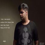 Amir Hossein Fallah – Yanki (Instrumental) - 