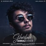 Amir Ali Shakeri – Gharibeh - 