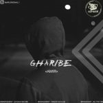 Amir – Gharibe