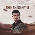 Amir Shabaniyan – Dorahi - 