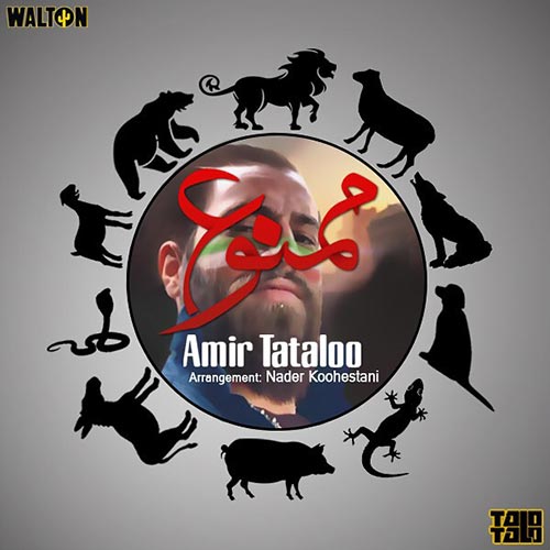Amir Tataloo – Mamnoo