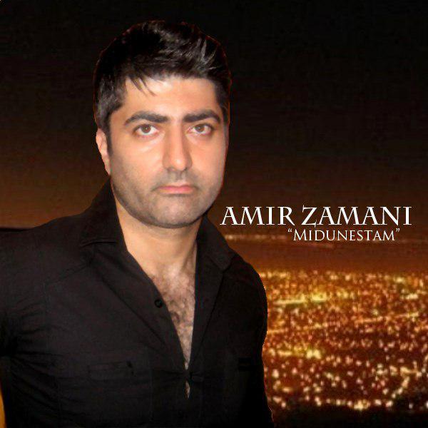 Amir Zamani – Midunestam