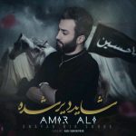 AmirAli – Shayad Dir Shode