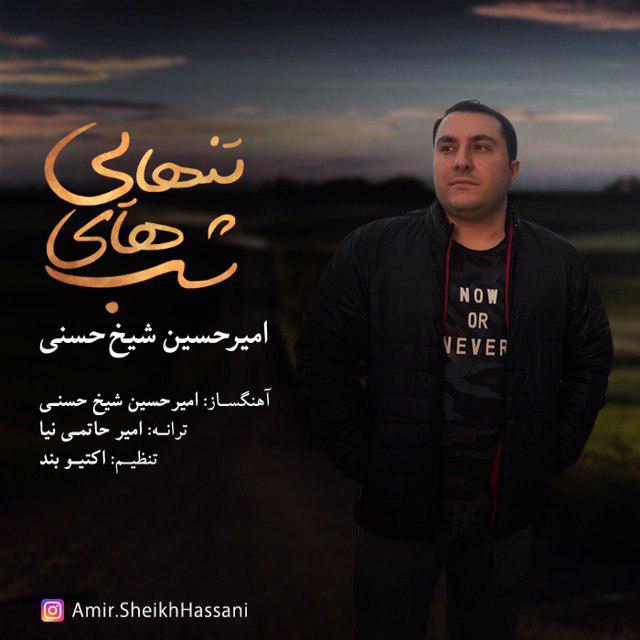 Amirhossein SheykhHassani – Shabhaye Tanhayi