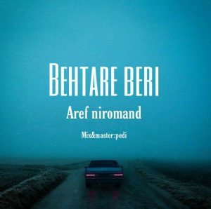 Aref Niromand 