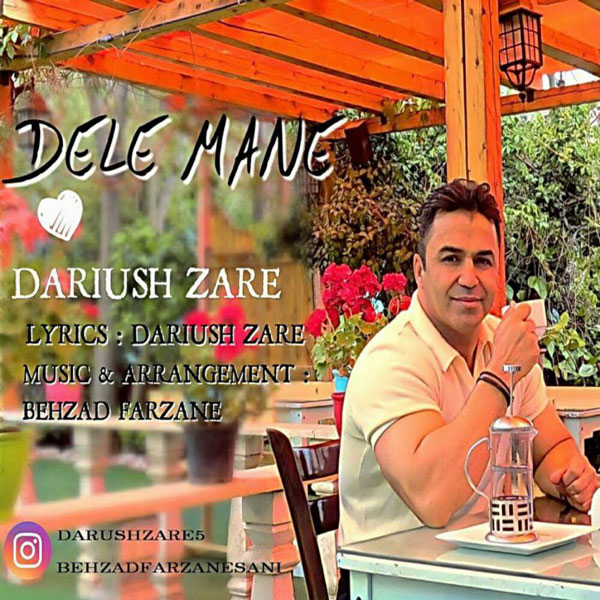 Dariush Zare – Dele Man