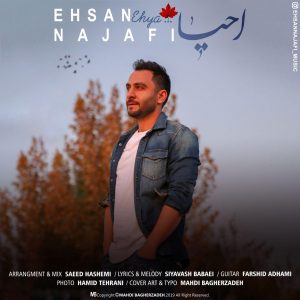 Ehsan Najafi