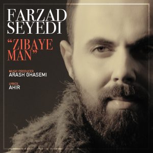 Farzad Seyedi 