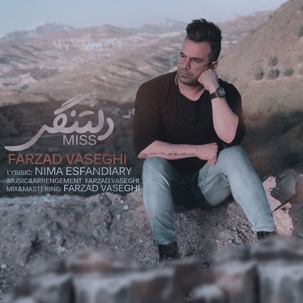 Farzad Vaseghi – Deltangi