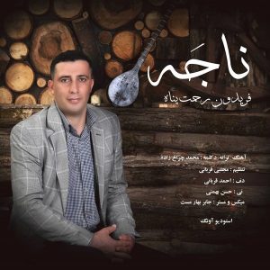 Fereydon Rahmat Panah 