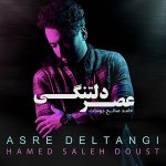 Hamed Saleh Doust – Asre Deltangi - 