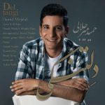 Hamid Mirjalali – Deltangi - 