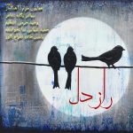 Hamid Shahabi Nia – Raze Del - 