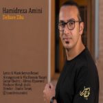 Hamidreza Amini – Delbare Ziba - 