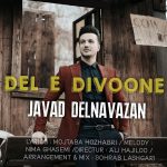Javad Delnavazan – Dele Divoone
