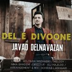 Javad Delnavazan – Dele Divoone - 