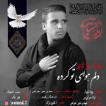 Javad Moradi – Delam Havaye To Karde - 