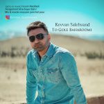 Keyvan Salehvand – To Gole Baharoomi - 