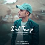Majid Mehrzad – Deltangi - 