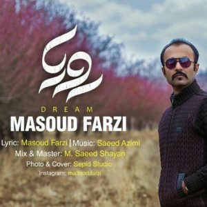 Masoud Farzi 