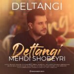 Mehdi Shobeyri – Deltangi - 