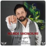 Mehdi Shokouhi – Eshgh Yani To (Remix)