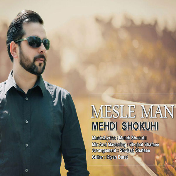 Mehdi Shokouhi – Mesle Man