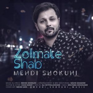 Mehdi Shokohi