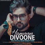 Mehrzad Esfandiyari – Hamoon Divoone - 