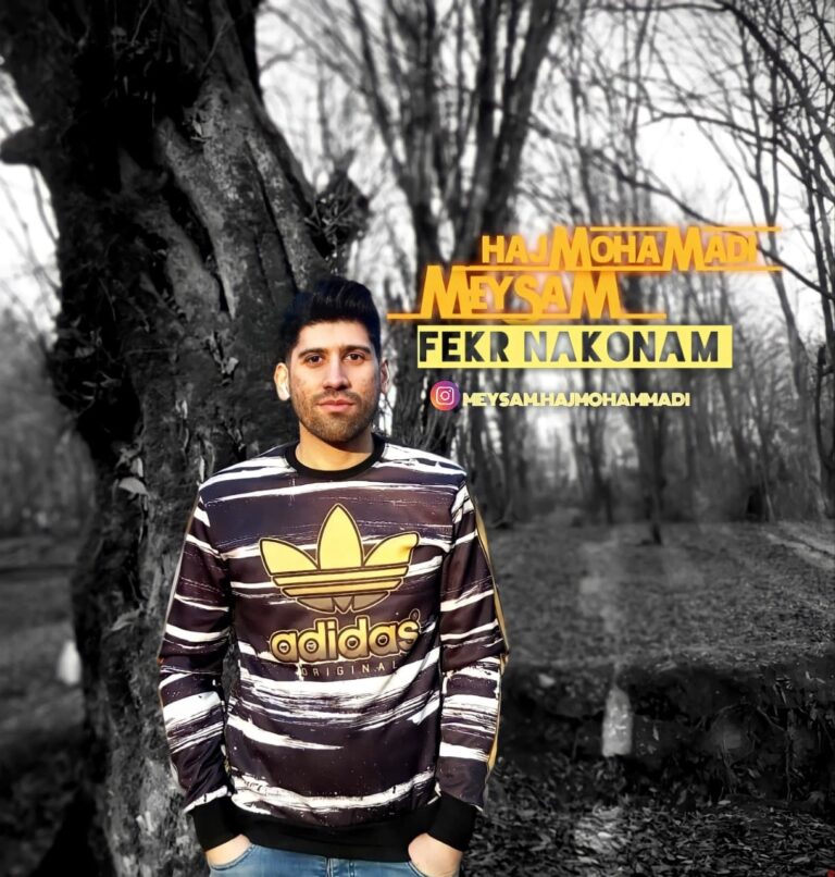 Meysam HajMohammadi – Fekr Nakonam