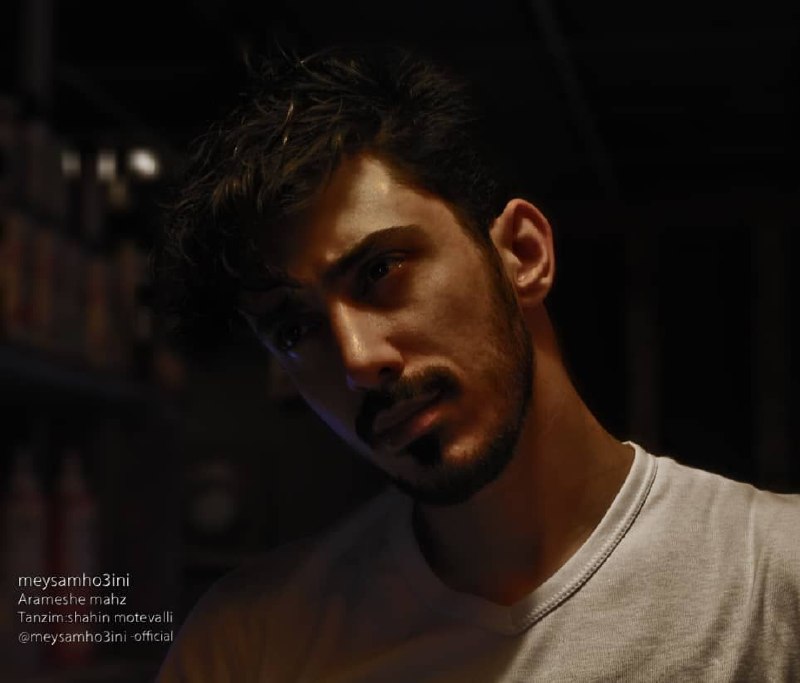 Meysam Ho3ini – Arameshe Mahz