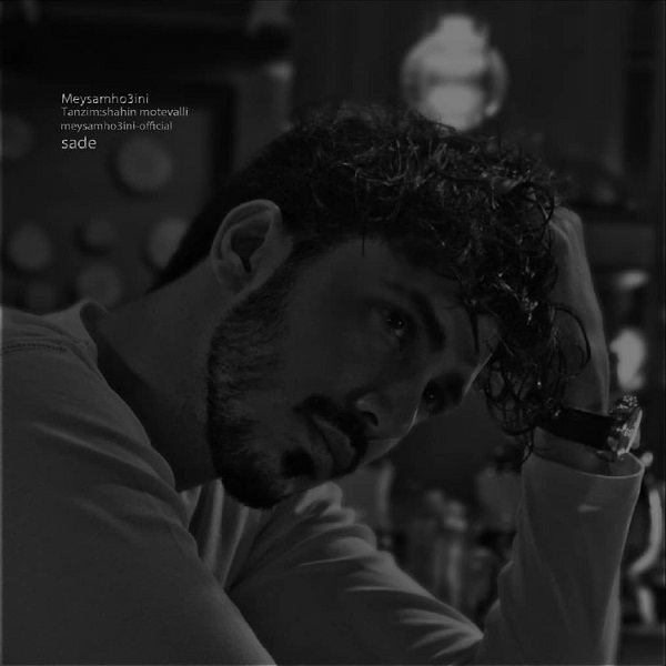 Meysam Ho3ini – Sade