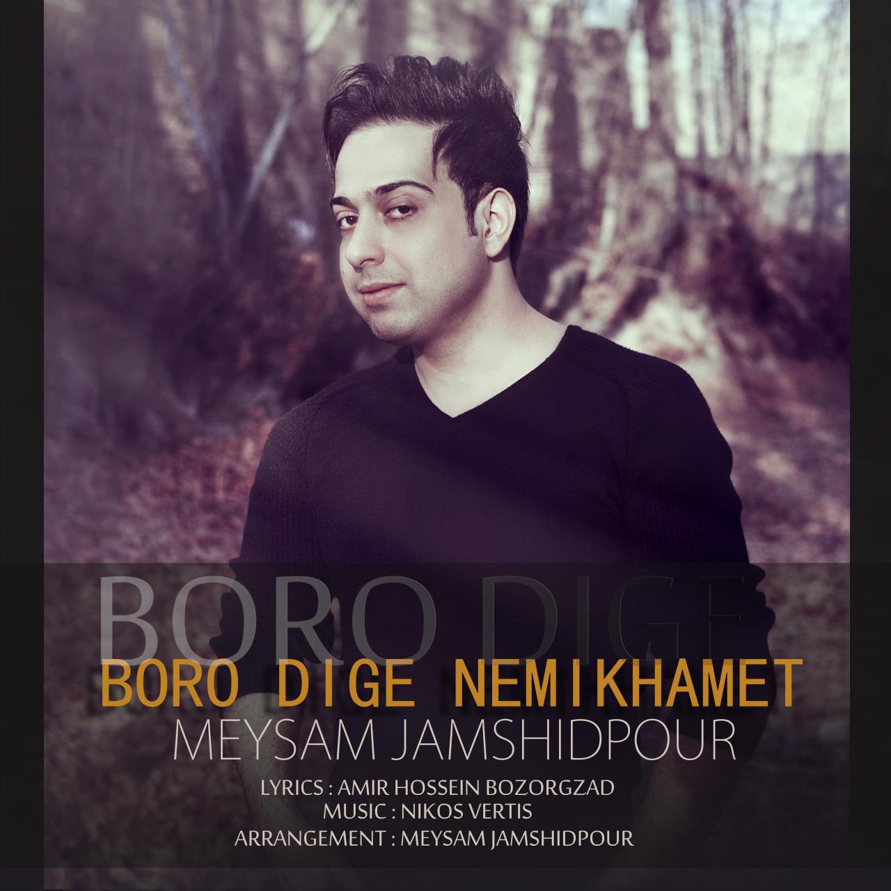 Meysam Jamshidpour – Boro Dige Nemikhamet