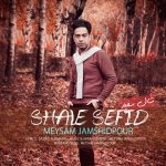 Meysam Jamshidpour – Shale Sefid