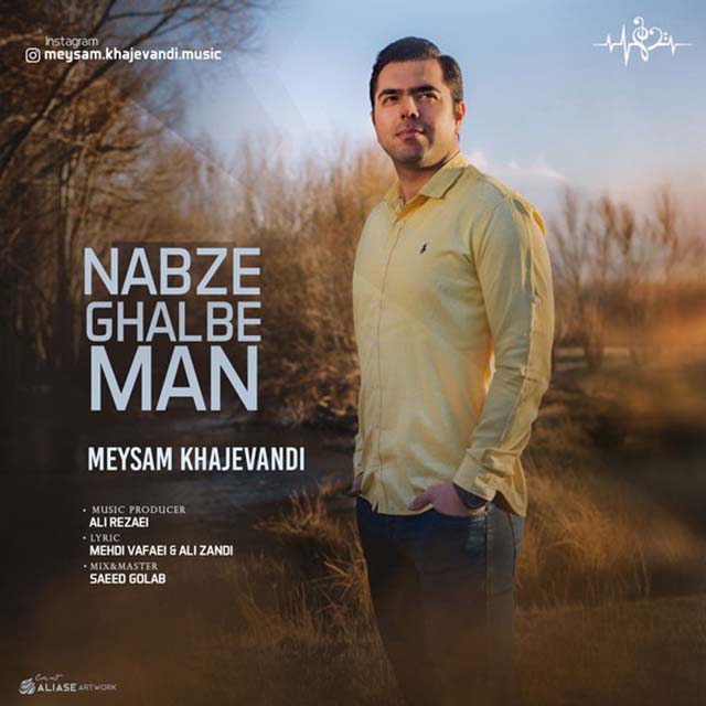 Meysam Khajevandi – Nabze Ghalbe Man
