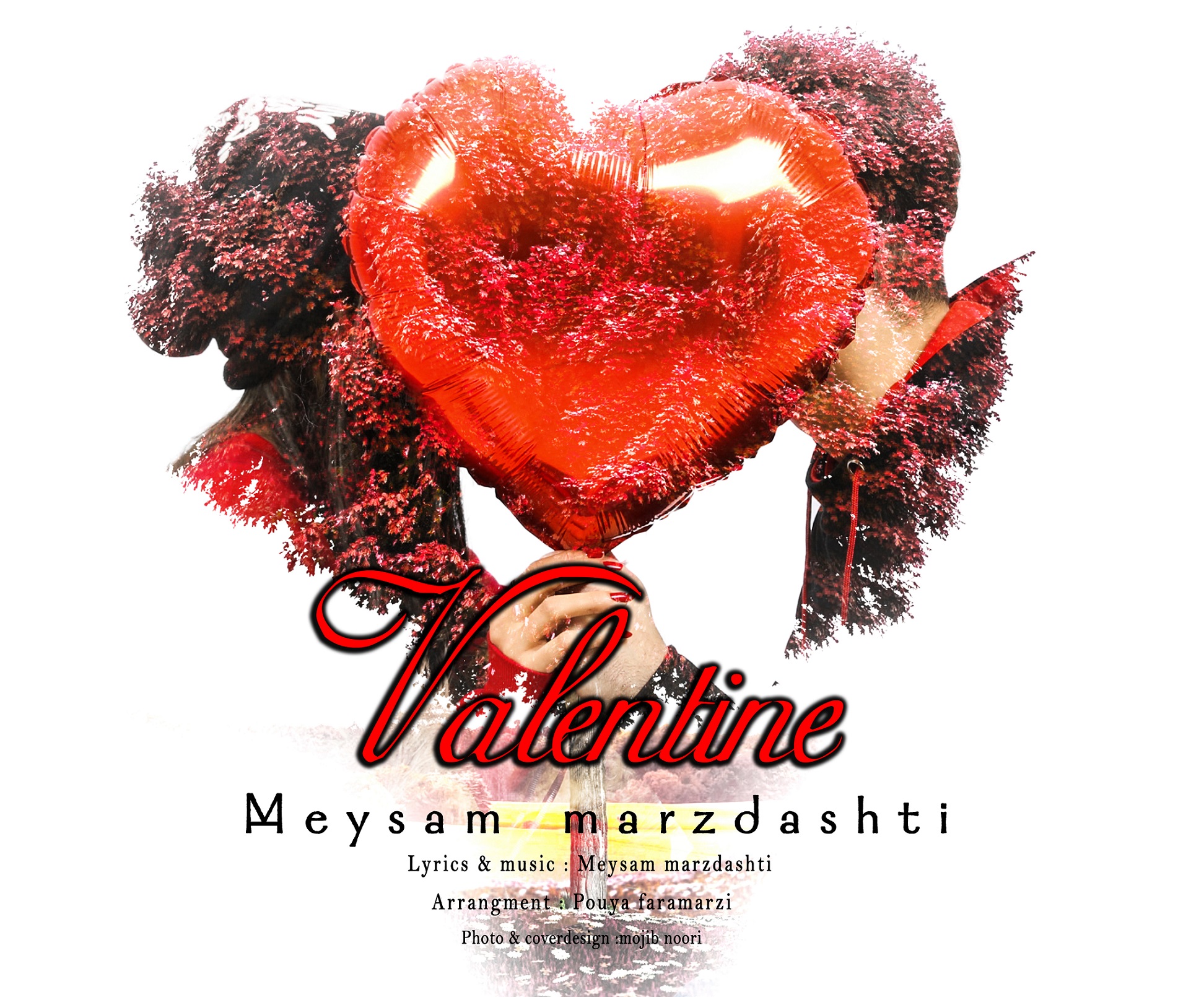 Meysam Marzdashti – Valentine