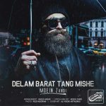 Moein Z – Delam Barat Tang Mishe - 