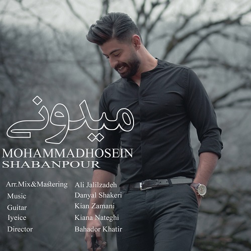 Mohammad Hosein Shabanpour – Midooni