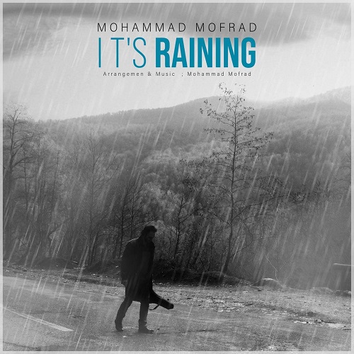 Mohammad Mofrad – It’s Raining
