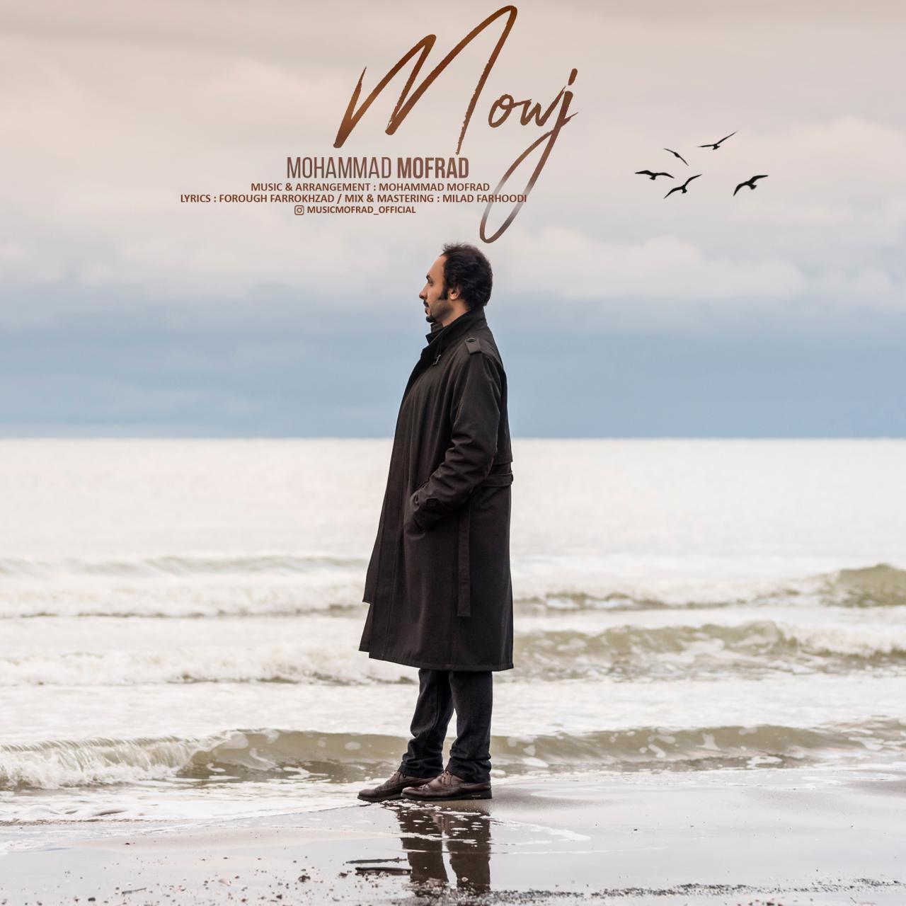 Mohammad Mofrad – Mowj