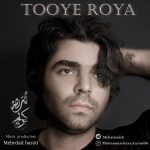 Mohammadreza Karimi – Tooye Roya - 